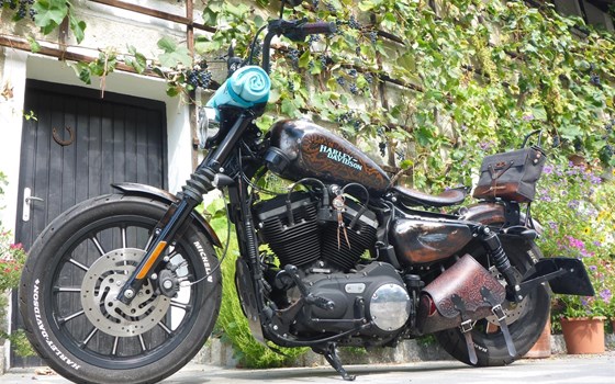 Umgebautes Motorrad Harley-Davidson Sportster XL 883 N Iron von user1033264 - Bild 2 Umgebautes Motorrad Harley-Davidson Sportster XL 883 N Iron von user1033264 - Bild 2