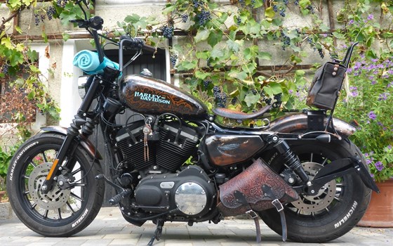 Umgebautes Motorrad Harley-Davidson Sportster XL 883 N Iron von user1033264 - Bild 3 Umgebautes Motorrad Harley-Davidson Sportster XL 883 N Iron von user1033264 - Bild 3