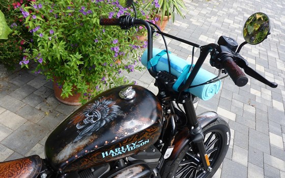 Umgebautes Motorrad Harley-Davidson Sportster XL 883 N Iron von user1033264 - Bild 7 Umgebautes Motorrad Harley-Davidson Sportster XL 883 N Iron von user1033264 - Bild 7