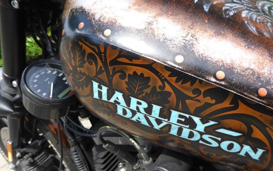 Umgebautes Motorrad Harley-Davidson Sportster XL 883 N Iron von user1033264 - Bild 8 Umgebautes Motorrad Harley-Davidson Sportster XL 883 N Iron von user1033264 - Bild 8