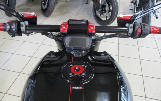 Umgebautes Motorrad Ducati XDiavel S von Team Wahlers GmbH - Bild 10 Umgebautes Motorrad Ducati XDiavel S von Team Wahlers GmbH - Bild 10