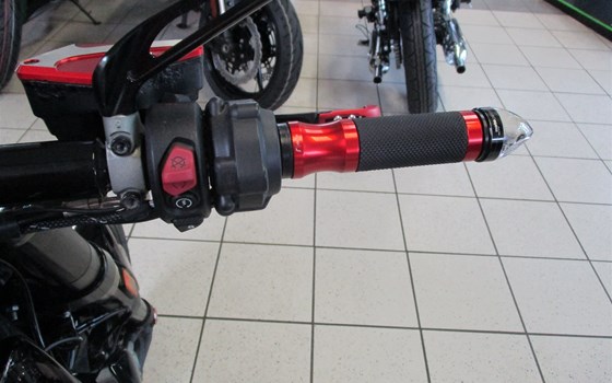 Umgebautes Motorrad Ducati XDiavel S von Team Wahlers GmbH - Bild 11 Umgebautes Motorrad Ducati XDiavel S von Team Wahlers GmbH - Bild 11