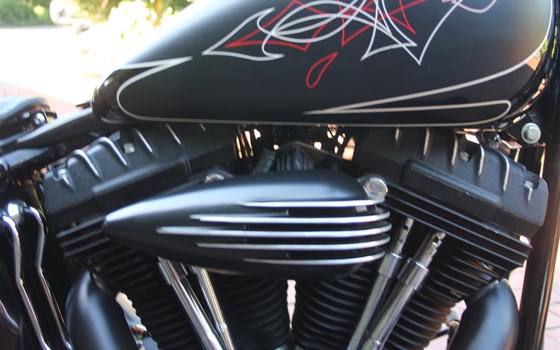Umgebautes Motorrad Harley-Davidson Softail Cross Bones FLSTSB von X-Trem Custombikes - Bild 8 Umgebautes Motorrad Harley-Davidson Softail Cross Bones FLSTSB von X-Trem Custombikes - Bild 8