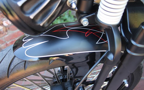 Umgebautes Motorrad Harley-Davidson Softail Cross Bones FLSTSB von X-Trem Custombikes - Bild 9 Umgebautes Motorrad Harley-Davidson Softail Cross Bones FLSTSB von X-Trem Custombikes - Bild 9