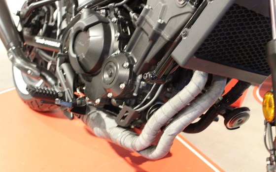 Umgebautes Motorrad Honda CMX500 Rebel von Motorrad-Shop GmbH Evecan - Bild 4