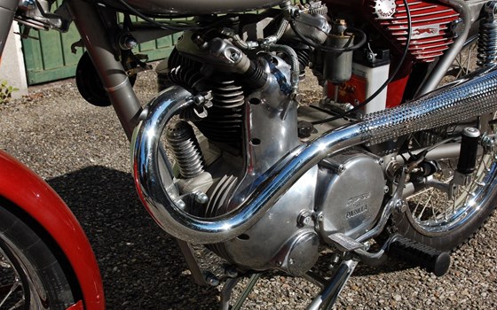 Umgebautes Motorrad Moto Parilla Trailmaster 250 von clites - Bild 10