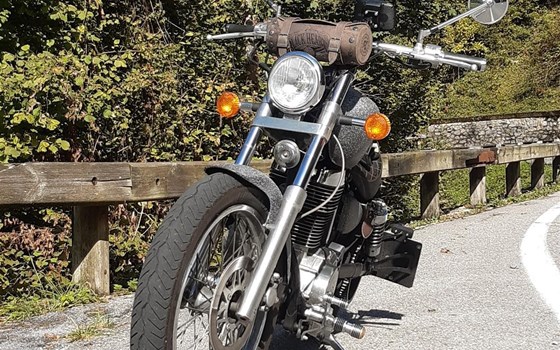 Umgebautes Motorrad Suzuki LS 650 von Spider63 - Bild 7 Umgebautes Motorrad Suzuki LS 650 von Spider63 - Bild 7