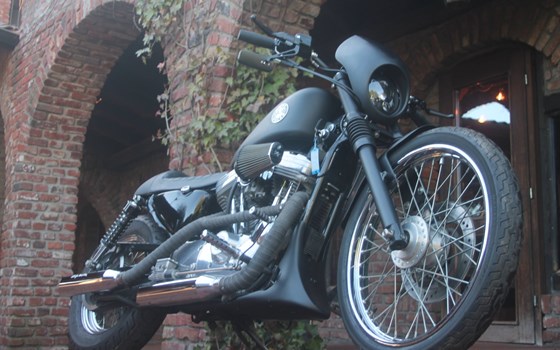 Umgebautes Motorrad Harley-Davidson Sportster XL 1200 von X-Trem Custombikes - Bild 7 Umgebautes Motorrad Harley-Davidson Sportster XL 1200 von X-Trem Custombikes - Bild 7
