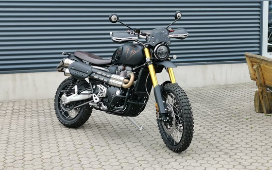 Umgebautes Motorrad Triumph Scrambler 1200 XE von Stärker-Profil GmbH - Bild 14 Umgebautes Motorrad Triumph Scrambler 1200 XE von Stärker-Profil GmbH - Bild 14