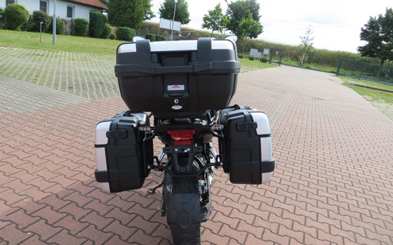 Umgebautes Motorrad Benelli TRK 502 von RB-Motorsports Bike & Car Service Ronny Bloch - Bild 8