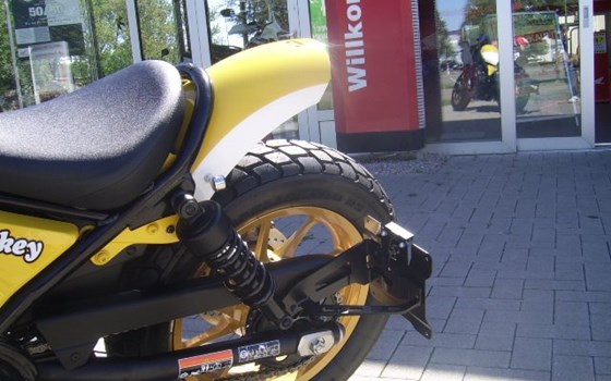 Umgebautes Motorrad Honda CMX500 Rebel von Auto-Boos GmbH - Bild 2 Umgebautes Motorrad Honda CMX500 Rebel von Auto-Boos GmbH - Bild 2