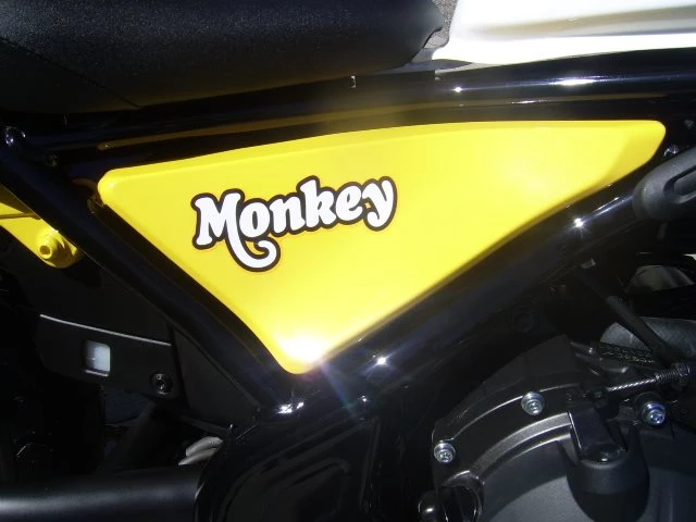 Rebuilt motorbike Honda CMX500 Rebel Bild 8: Rebuilt motorbike Honda CMX500 Rebel