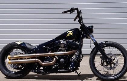 Harley-Davidson Softail Custom FXSTC Custom Bike