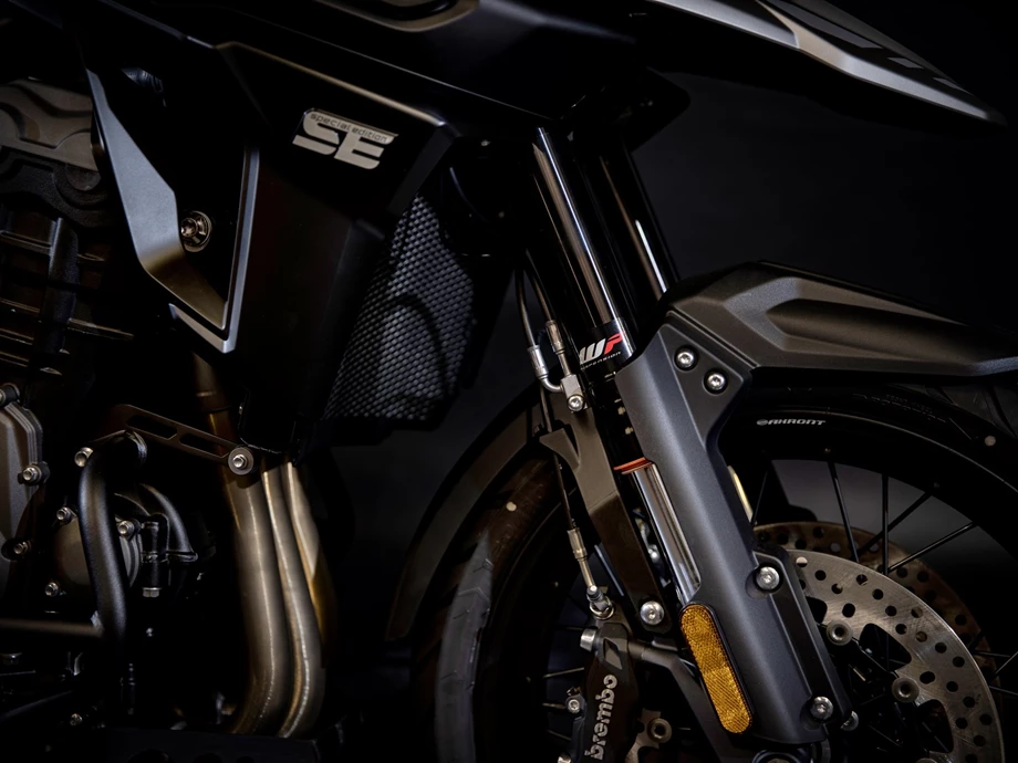 Umbgebautes Motorrad Triumph Tiger 1200 Desert Edition Bild 21: Umbgebautes Motorrad Triumph Tiger 1200 Desert Edition