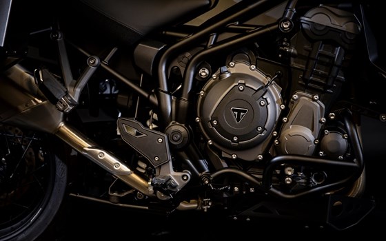 Umgebautes Motorrad Triumph Tiger 1200 Desert Edition von Triumph Emsland - Hertrampf Racing - Bild 22 Umgebautes Motorrad Triumph Tiger 1200 Desert Edition von Triumph Emsland - Hertrampf Racing - Bild 22