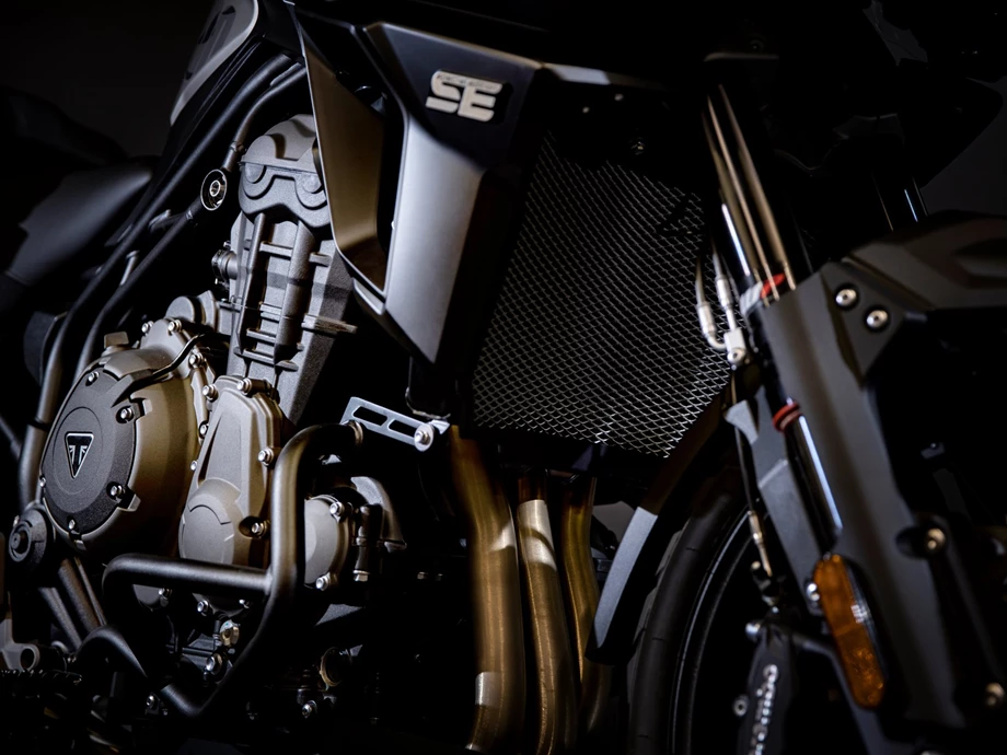 Umbgebautes Motorrad Triumph Tiger 1200 Desert Edition Bild 24: Umbgebautes Motorrad Triumph Tiger 1200 Desert Edition