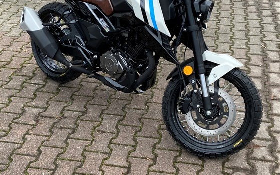 Umgebautes Motorrad FK Motors FK 12 SX Street Scrambler von Auto Center Brenner GmbH - Bild 3