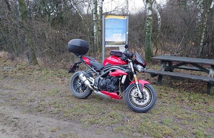 Triumph Speed Triple S Custom Bike