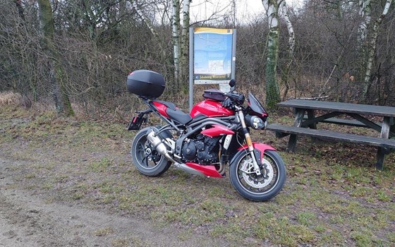 Umgebautes Motorrad Triumph Speed Triple S von Stenli - Bild 1 Umgebautes Motorrad Triumph Speed Triple S von Stenli - Bild 1