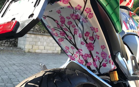 Umgebautes Motorrad Honda CB1000R+ von user1199341 - Bild 7 Umgebautes Motorrad Honda CB1000R+ von user1199341 - Bild 7