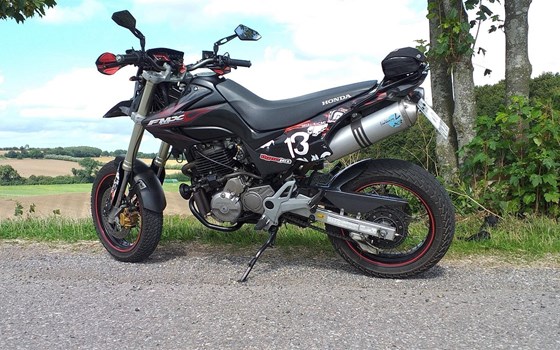 Umgebautes Motorrad Honda FMX650 von Superdreizehn - Bild 5 Umgebautes Motorrad Honda FMX650 von Superdreizehn - Bild 5