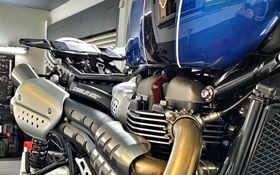 Umgebautes Motorrad Triumph Scrambler 1200 XE von MSG Moto-Shop-Gera TEAM BAUCH OHG - Bild 4 Umgebautes Motorrad Triumph Scrambler 1200 XE von MSG Moto-Shop-Gera TEAM BAUCH OHG - Bild 4