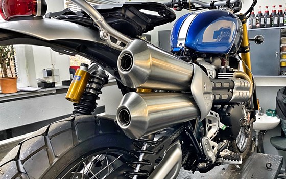Umgebautes Motorrad Triumph Scrambler 1200 XE von MSG Moto-Shop-Gera TEAM BAUCH OHG - Bild 3 Umgebautes Motorrad Triumph Scrambler 1200 XE von MSG Moto-Shop-Gera TEAM BAUCH OHG - Bild 3