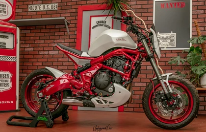 Kawasaki Versys 650 Custom Bike Kawasaki Versys 650 Custom Bike