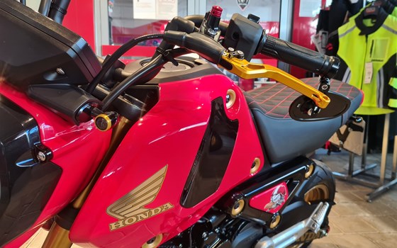 Umgebautes Motorrad Honda MSX125 Grom von Motorrad-Box GmbH - Bild 2