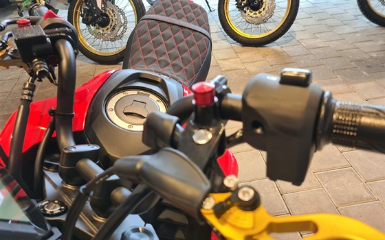 Umgebautes Motorrad Honda MSX125 Grom von Motorrad-Box GmbH - Bild 3