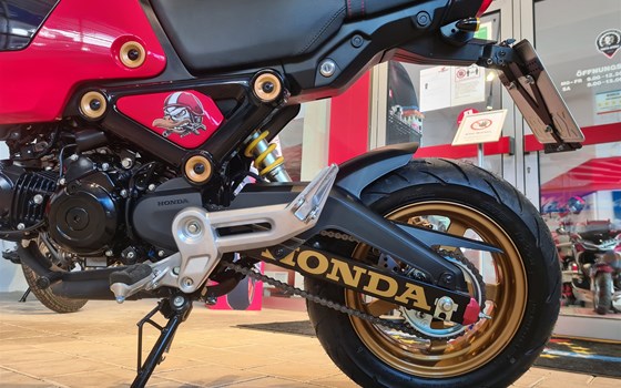 Umgebautes Motorrad Honda MSX125 Grom von Motorrad-Box GmbH - Bild 4