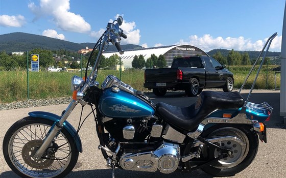 Umgebautes Motorrad Harley-Davidson Softail Standard FXST von Berni´s Biker Bude - Bild 3 Umgebautes Motorrad Harley-Davidson Softail Standard FXST von Berni´s Biker Bude - Bild 3