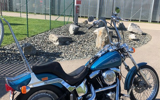 Umgebautes Motorrad Harley-Davidson Softail Standard FXST von Berni´s Biker Bude - Bild 5 Umgebautes Motorrad Harley-Davidson Softail Standard FXST von Berni´s Biker Bude - Bild 5