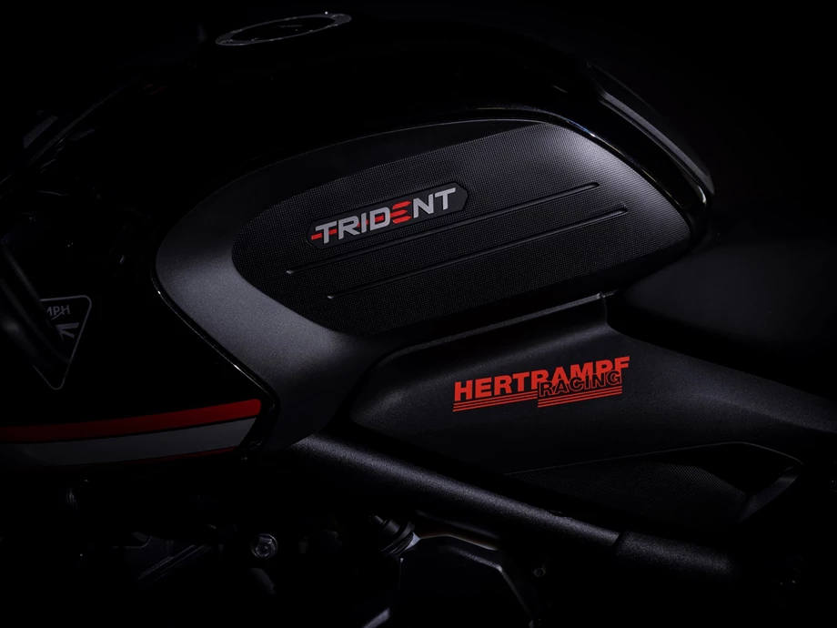 Umbgebautes Motorrad Triumph Trident 660 Bild 14: Umbgebautes Motorrad Triumph Trident 660