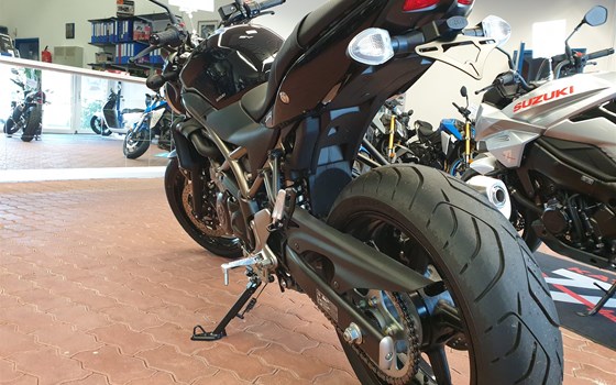 Umgebautes Motorrad Suzuki SV650 von Motorradtechnik Kranz GmbH - Bild 5 Umgebautes Motorrad Suzuki SV650 von Motorradtechnik Kranz GmbH - Bild 5