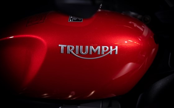 Umgebautes Motorrad Triumph Rocket 3 R von Triumph Emsland - Hertrampf Racing - Bild 7 Umgebautes Motorrad Triumph Rocket 3 R von Triumph Emsland - Hertrampf Racing - Bild 7