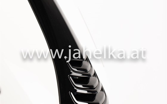Umgebautes Motorrad Vespa GTS 300 i.e. Super von Jahelka Zweirad GmbH - Bild 10 Umgebautes Motorrad Vespa GTS 300 i.e. Super von Jahelka Zweirad GmbH - Bild 10