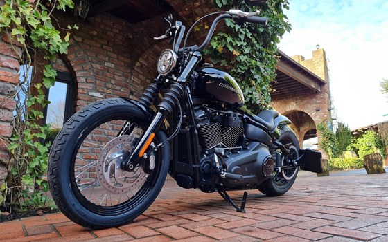 Umgebautes Motorrad Harley-Davidson Softail Street Bob 114 FXBBS von X-Trem Custombikes - Bild 3 Umgebautes Motorrad Harley-Davidson Softail Street Bob 114 FXBBS von X-Trem Custombikes - Bild 3