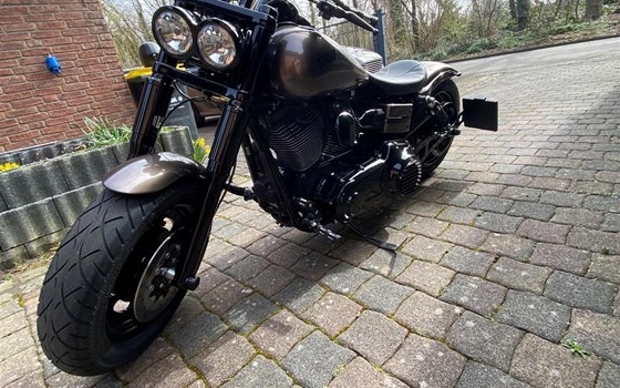 Umgebautes Motorrad Harley-Davidson Dyna Fat Bob FXDF von user1234254 - Bild 5