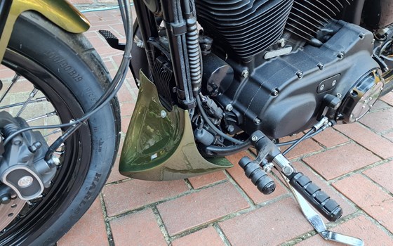 Umgebautes Motorrad Harley-Davidson Sportster XL 883 N Iron von X-Trem Custombikes - Bild 8 Umgebautes Motorrad Harley-Davidson Sportster XL 883 N Iron von X-Trem Custombikes - Bild 8