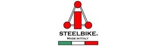 Umbgebautes Motorrad Benelli Leoncino 500 Trail