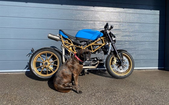 Umgebautes Motorrad Ducati ST 4 S von samuelpierre - Bild 18