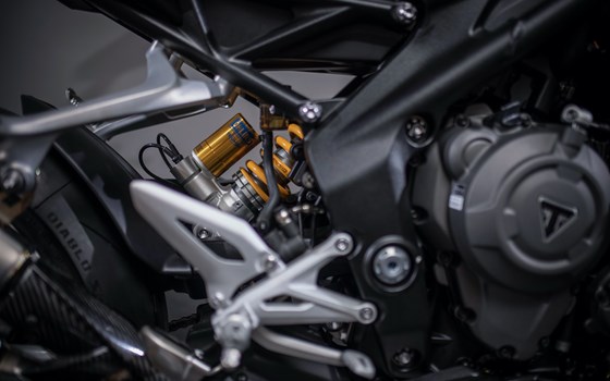 Umgebautes Motorrad Triumph Speed Triple 1200 RR von Triumph Emsland - Hertrampf Racing - Bild 5 Umgebautes Motorrad Triumph Speed Triple 1200 RR von Triumph Emsland - Hertrampf Racing - Bild 5