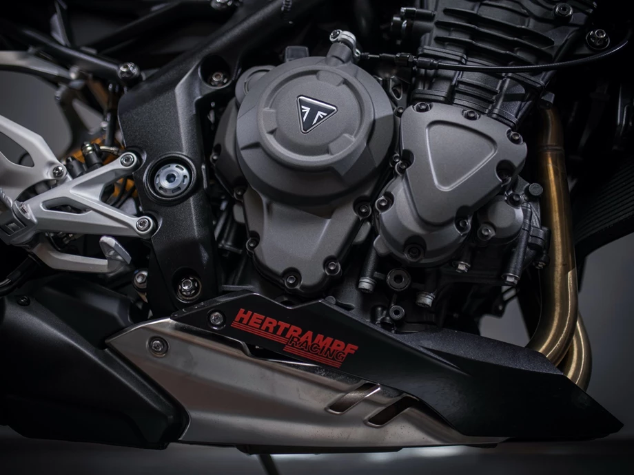 Umbgebautes Motorrad Triumph Speed Triple 1200 RR Bild 6: Umbgebautes Motorrad Triumph Speed Triple 1200 RR