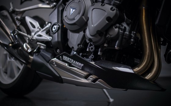 Umgebautes Motorrad Triumph Speed Triple 1200 RR von Triumph Emsland - Hertrampf Racing - Bild 23 Umgebautes Motorrad Triumph Speed Triple 1200 RR von Triumph Emsland - Hertrampf Racing - Bild 23