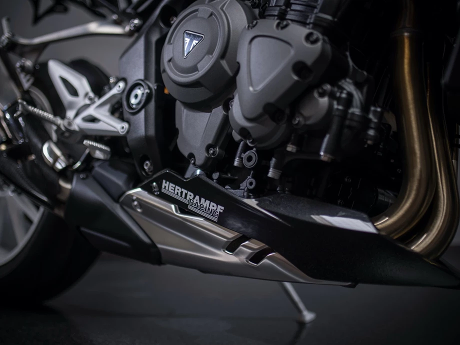 Umbgebautes Motorrad Triumph Speed Triple 1200 RR Bild 23: Umbgebautes Motorrad Triumph Speed Triple 1200 RR