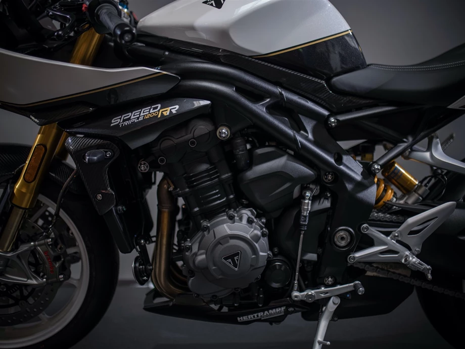 Umbgebautes Motorrad Triumph Speed Triple 1200 RR Bild 11: Umbgebautes Motorrad Triumph Speed Triple 1200 RR