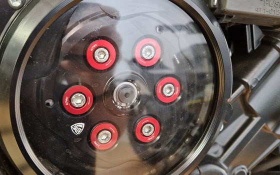 Umgebautes Motorrad MV Agusta Dragster 800 RR von Motorrad Scheunpflug e.K. - Bild 14 Umgebautes Motorrad MV Agusta Dragster 800 RR von Motorrad Scheunpflug e.K. - Bild 14
