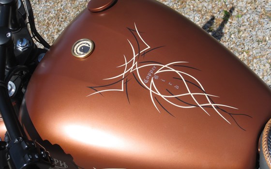 Umgebautes Motorrad Triumph Thunderbird Storm von Motorrad-Shop Kuhnert - Bild 4 Umgebautes Motorrad Triumph Thunderbird Storm von Motorrad-Shop Kuhnert - Bild 4