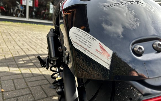 Umgebautes Motorrad Honda CMX1100 Rebel DCT von Tempo-Zweirad-Treff GmbH - Bild 11 Umgebautes Motorrad Honda CMX1100 Rebel DCT von Tempo-Zweirad-Treff GmbH - Bild 11